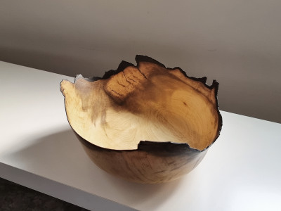 Korean Persimmon tree Natural bowl