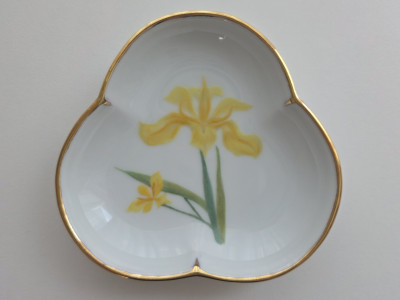 Eternally Eternal : Korean Yellow Iris