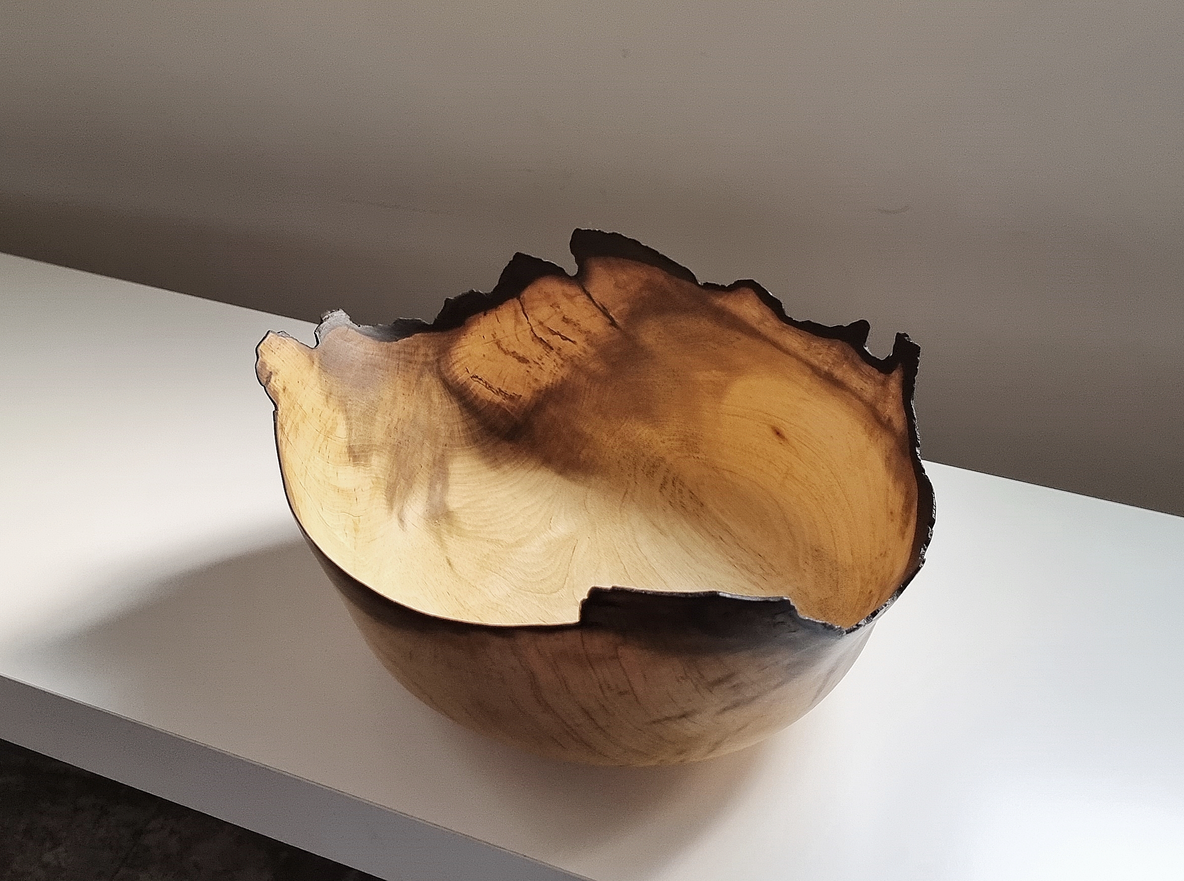 Korean Persimmon tree Natural bowl