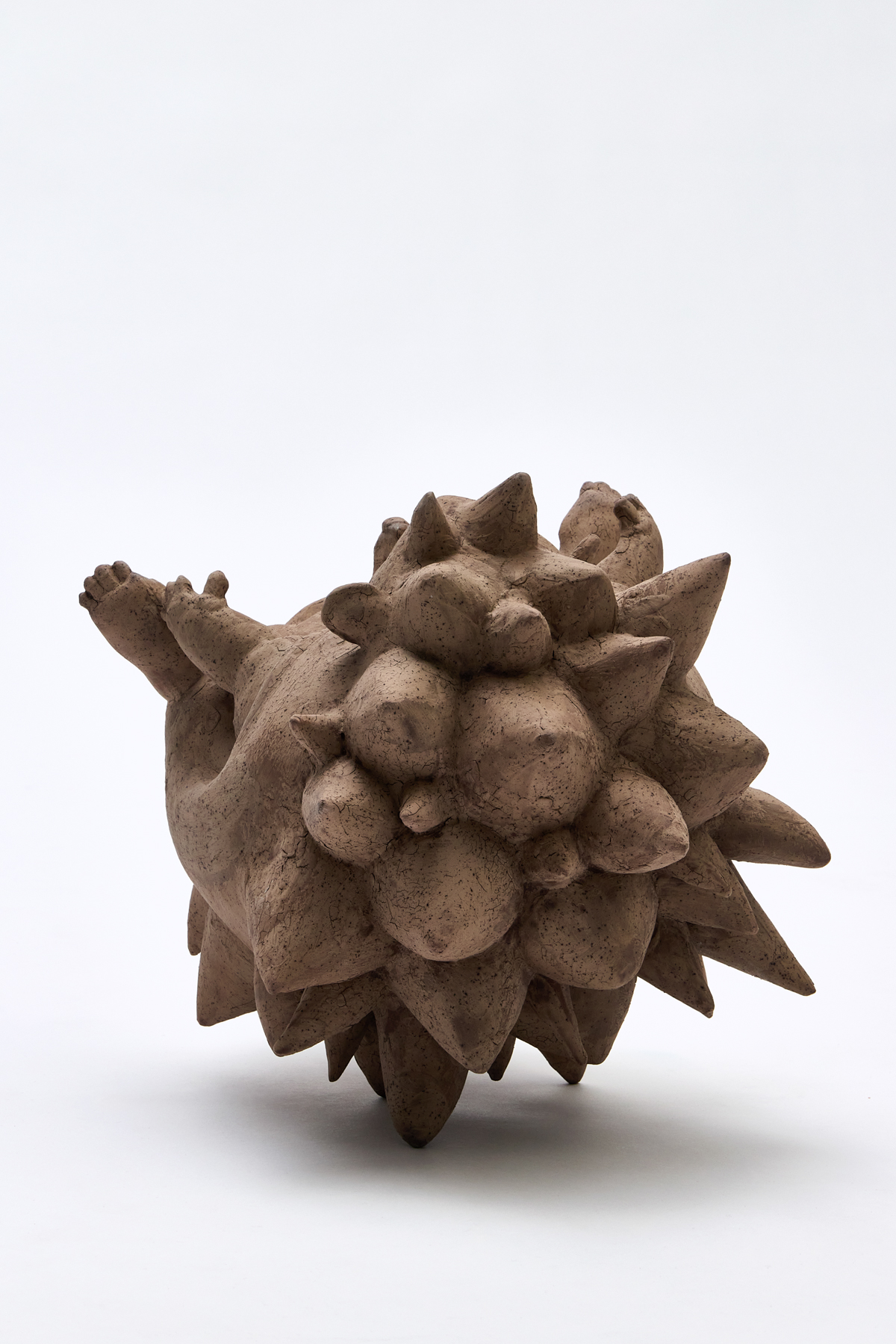 Narrowness - Image 2