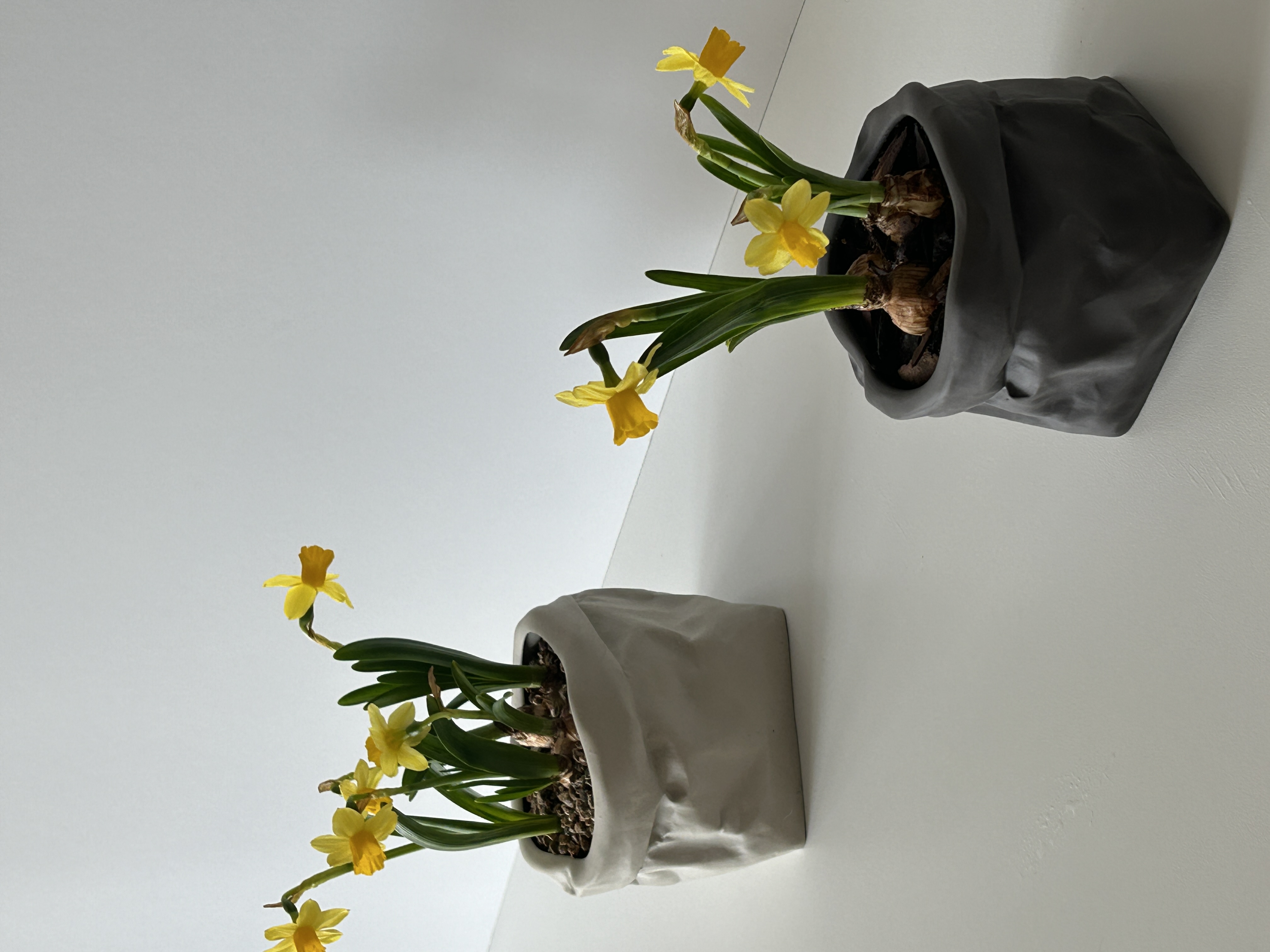 paper pot - Size 5 - Image 2