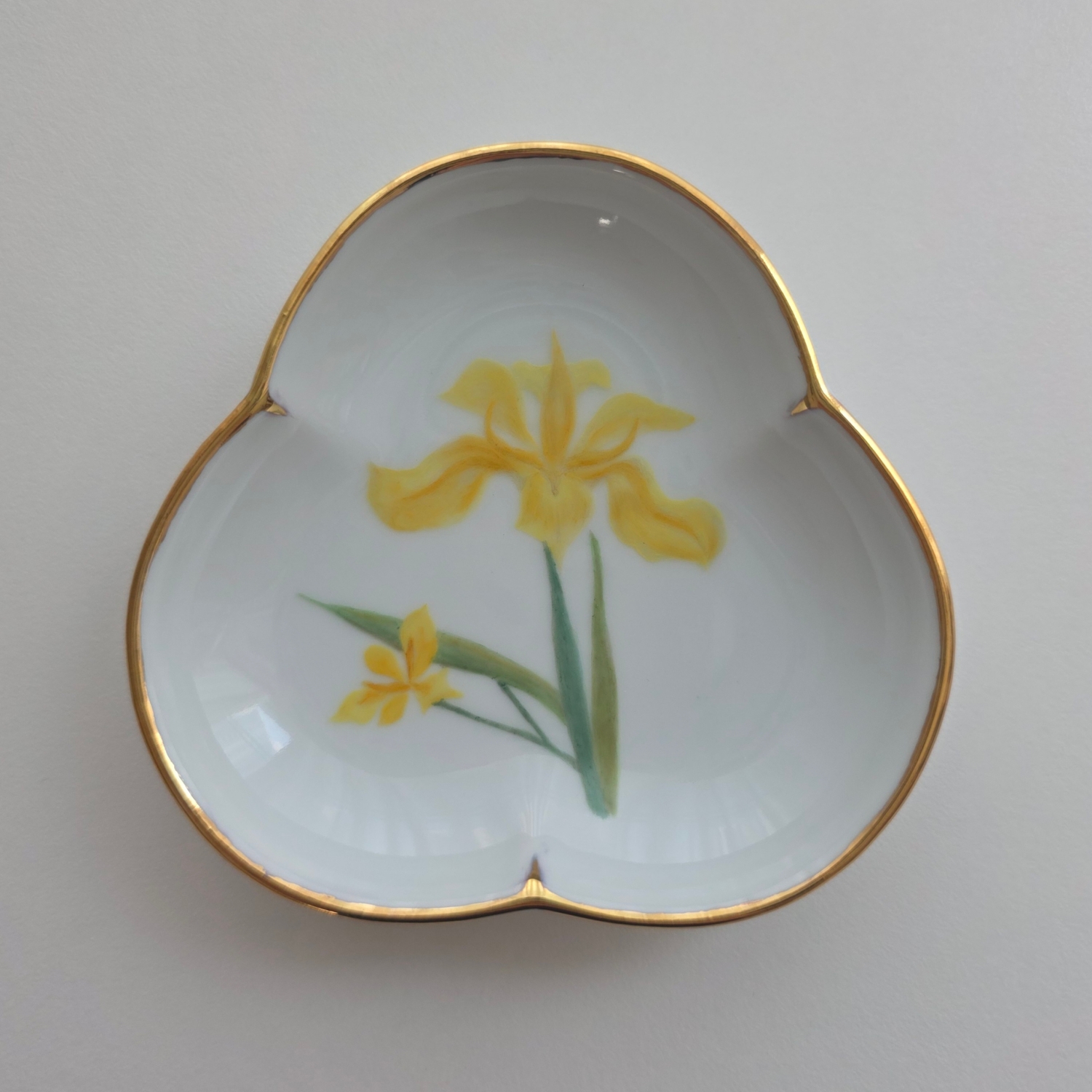 Eternally Eternal - Yellow Iris