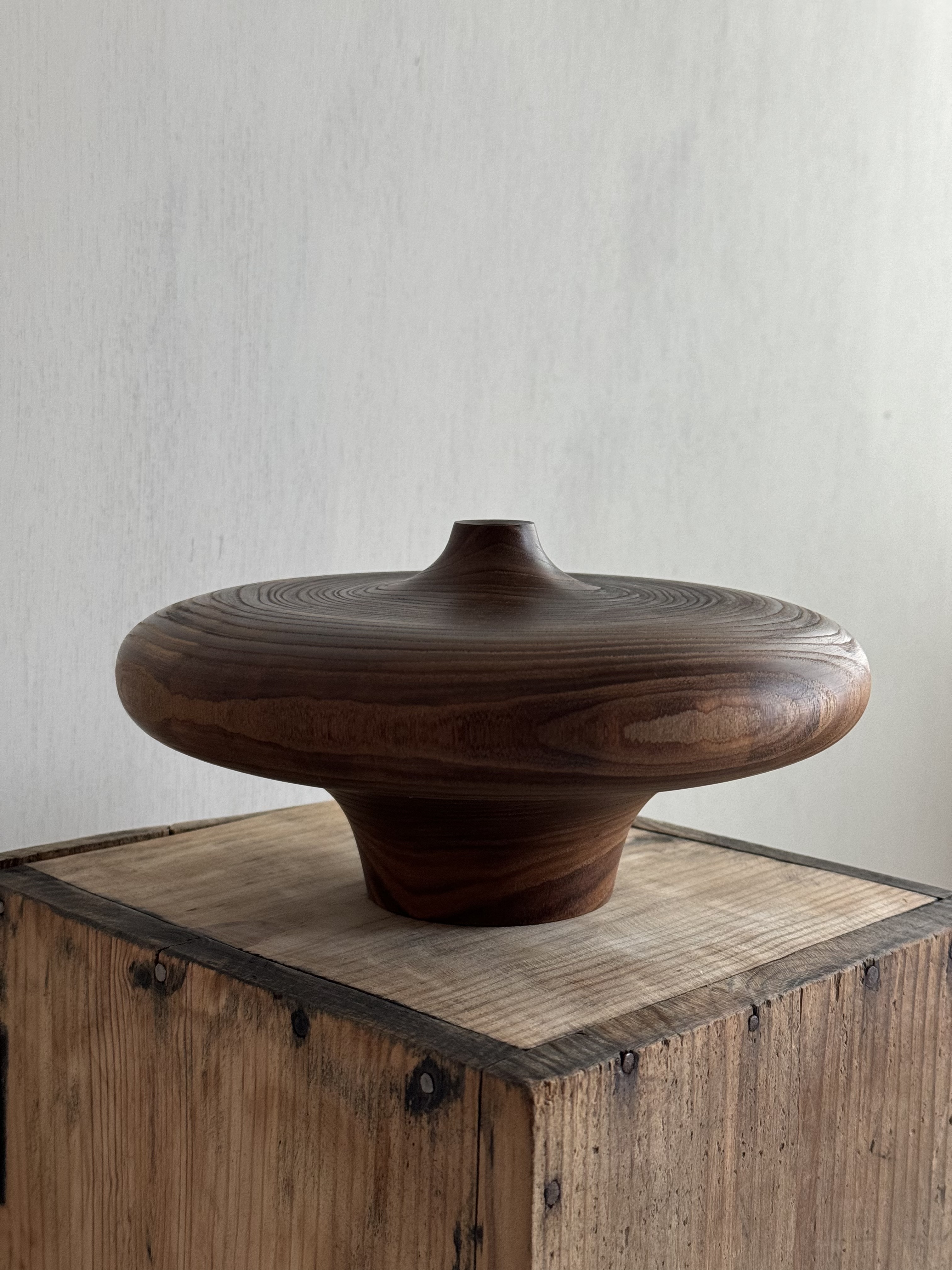 Carved Jar_Amur maackia