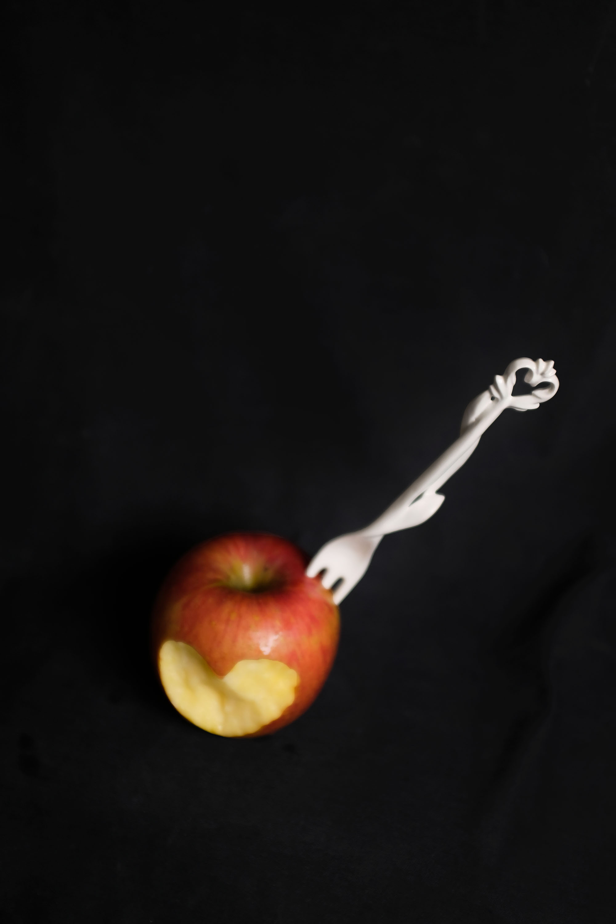 sodam_fork - Image 2