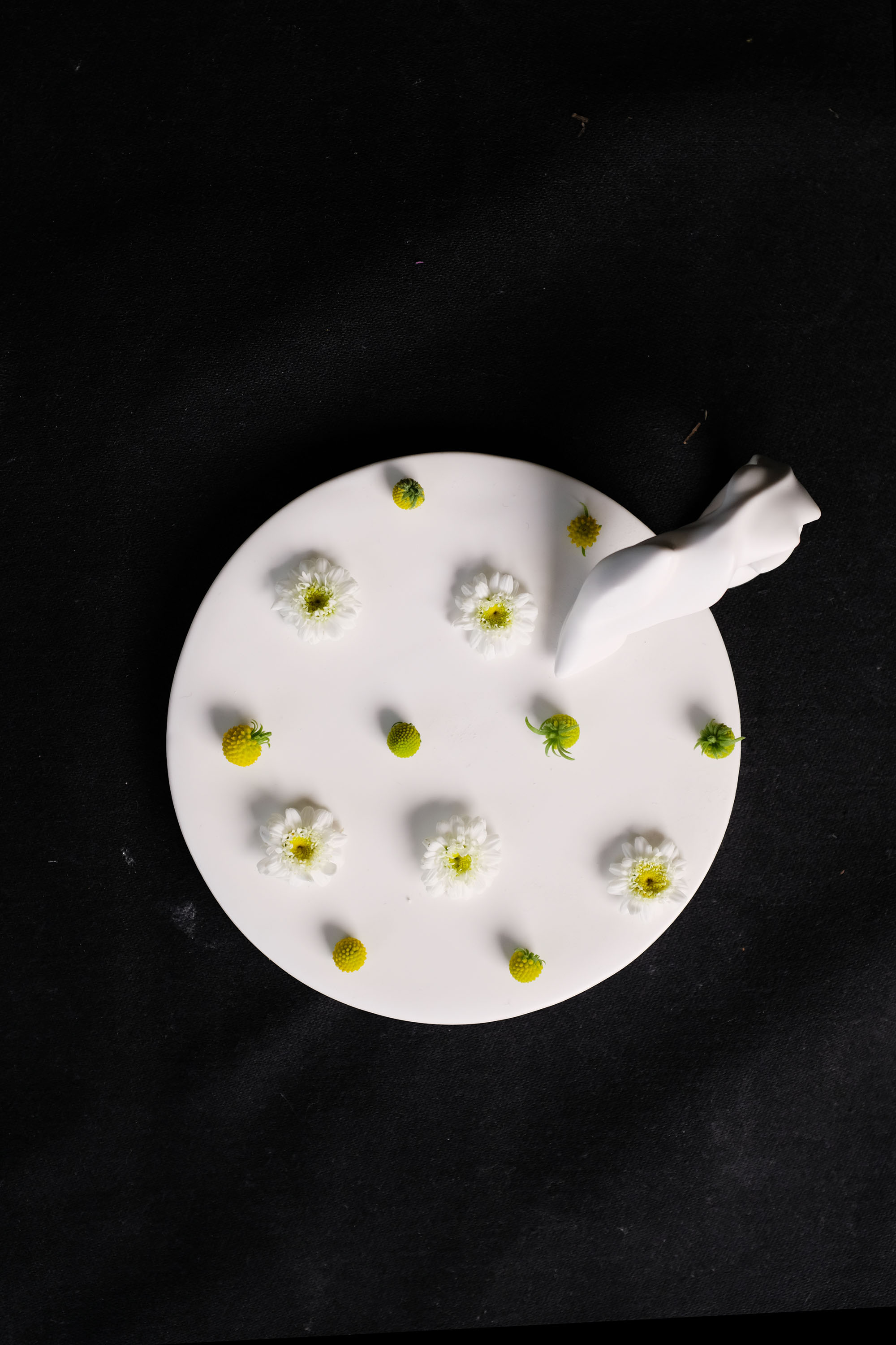 plate with vine_s - Image 5