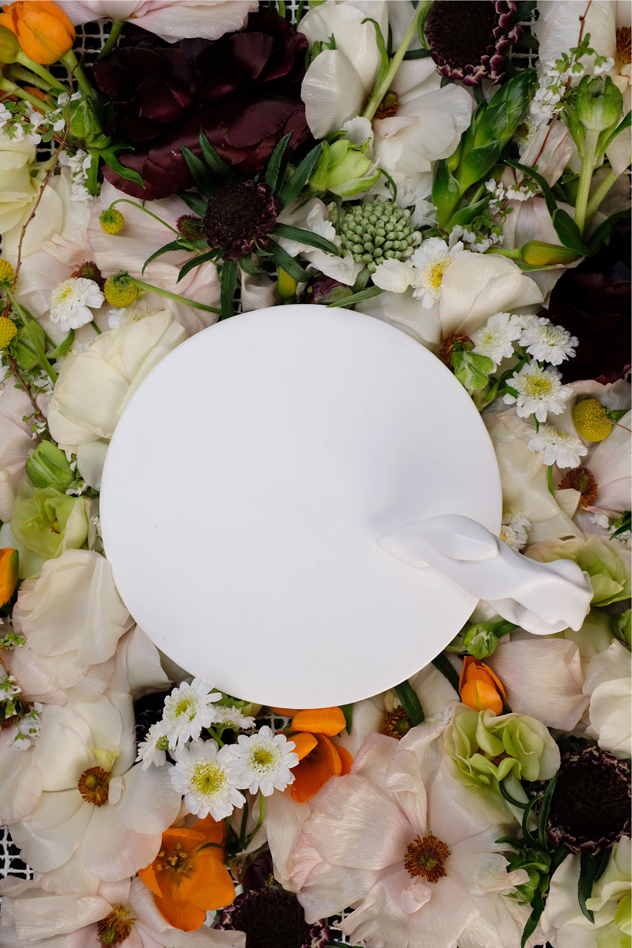 plate with vine_s - Image 3