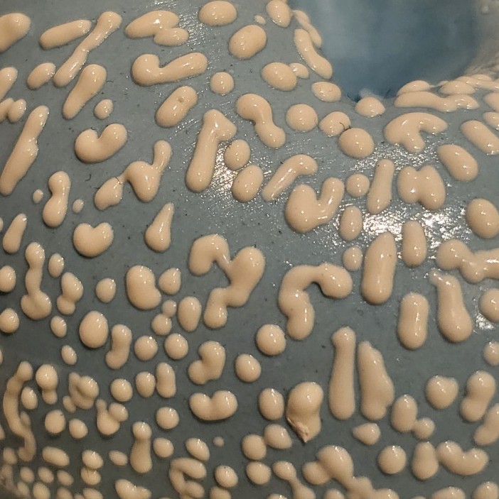 Sprinkle Apple - Image 3